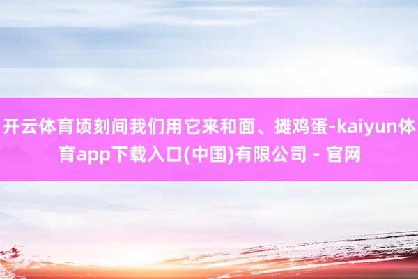 开云体育顷刻间我们用它来和面、摊鸡蛋-kaiyun体育app下载入口(中国)有限公司 - 官网