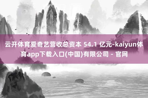 云开体育爱奇艺营收总资本 54.1 亿元-kaiyun体育app下载入口(中国)有限公司 - 官网