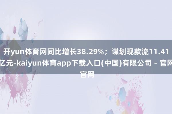开yun体育网同比增长38.29%；谋划现款流11.41亿元-kaiyun体育app下载入口(中国)有限公司 - 官网